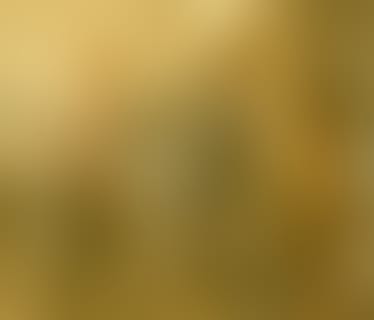 Header syracom AG