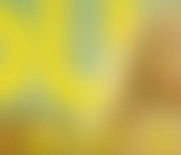 Header HUK-COBURG Versicherungsgruppe