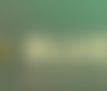 Header BLUE MOON Communication Consultans GmbH