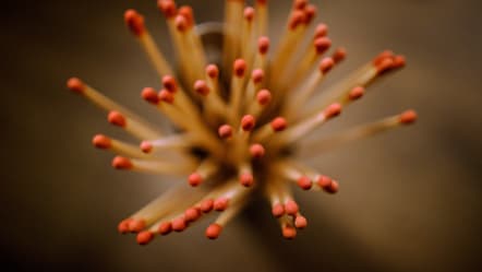 Unleash Your Potential: Career Paths for Frontend Developers