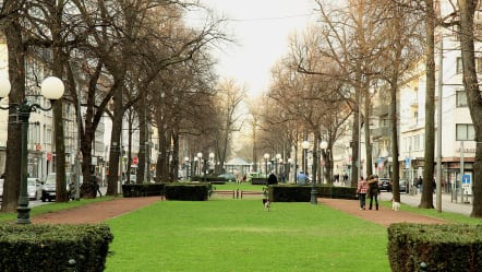 Relocating to Krefeld as a Software Developer