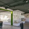 Team insight Workspace