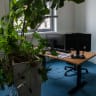 Team insight Workspace