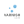 Logo Technology Varnish
