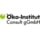 Logo Öko-Institut Consult gGmbH