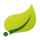 Logo Technology Spring