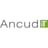 Logo Ancud IT