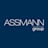 Assmann Electronic Gmbh