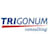 Logo Trigonum Gmbh