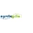 Logo syntegris information solutions GmbH