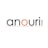 Logo Anouri Gmbh