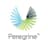 Logo Peregrine Technologies GmbH