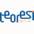 Logo Teoresi Group