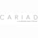 Logo CARIAD SE