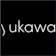 Logo Yukawa Exponential Gmbh
