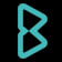 Logo Bonisoft Technologies