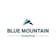 Logo Blue Mountain Consulting GmbH