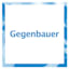 Gegenbauer Holding SE & Co. KG