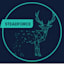 Steadforce GmbH