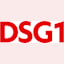 DSG1 GmbH