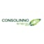 Consolinno Energy GmbH
