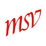 Logo msv Systemhaus Martin Schlaak GmbH