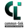Logo Common-Link AG